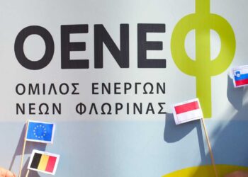 Ολοκληρώθηκε με επιτυχία η εκδήλωση με τίτλο: “Ευρώπη: Η μεγάλη μας οικογένεια”