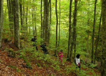 Ορειβατική Λέσχη Εορδαίας: Η 39η Βορειοελλαδική Συνάντηση Ορειβατικών Συλλόγων θα γίνει στις 15-16/6, στο Όρος Βόρας