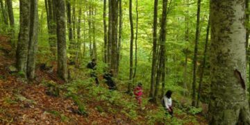 Ορειβατική Λέσχη Εορδαίας: Η 39η Βορειοελλαδική Συνάντηση Ορειβατικών Συλλόγων θα γίνει στις 15-16/6, στο Όρος Βόρας