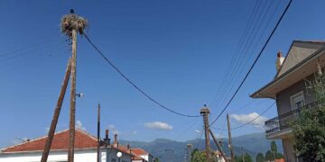 Νίκη Φλώρινας το χωριό των πελαργών (ΦΩΤΟ)