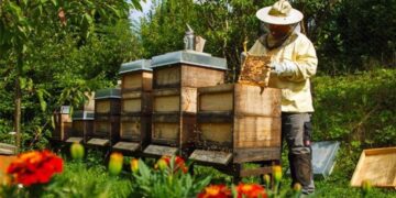 Πρόσκληση σε ταχύρρυθμες εκπαιδεύσεις (τριήμερο σεμινάριο) μελισσοκόμων έτους 2024