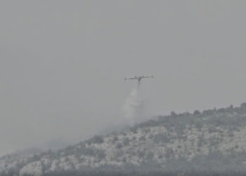 Πυρκαγιά εκδηλώθηκε (πιθανόν από κεραυνό) στους Πύργους Εορδαίας και καταβέστηκε με ρίψεις από 2 Canadair (βίντεο)