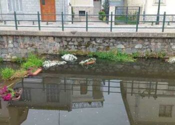 Στη Φλώρινα άγνωστοι κατέστρεψαν λουλούδια στον ποταμό Σακουλέβα: Η καταγγελία του Δήμου Φλώρινας