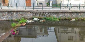 Στη Φλώρινα άγνωστοι κατέστρεψαν λουλούδια στον ποταμό Σακουλέβα: Η καταγγελία του Δήμου Φλώρινας