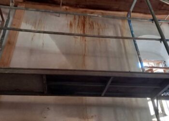 Το θλιβερό έργο της αναστήλωσης του Ιερού Ναού Αγίου Νικολάου Βλάστης – Γράφει η Ελένη Γκίνου*