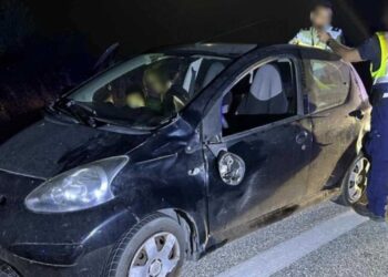Τροχαίο στην Καστοριά: Η οδηγός ΙΧ συγκρούστηκε με μεγαλόσωμη αρκούδα