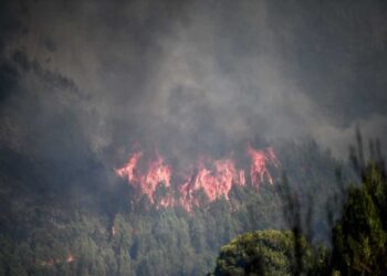 Υψηλός κίνδυνος πυρκαγιάς τη Δευτέρα σε αρκετές περιοχές της χώρας
