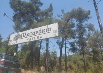 "ΠΛΑΤΑΝΑΚΙΑ" Πανοράματος, μία φυσική όαση δροσιάς! (ρεπορτάζ της Κούλας Πουλασιχίδου)