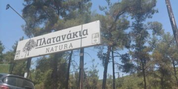 "ΠΛΑΤΑΝΑΚΙΑ" Πανοράματος, μία φυσική όαση δροσιάς! (ρεπορτάζ της Κούλας Πουλασιχίδου)