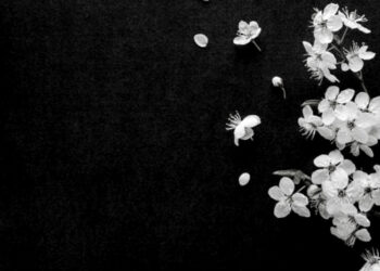 Η Ποντινή Γρεβενών πενθεί…. Έφυγε από τη ζωή ένα νέο παιδί 40 ετών