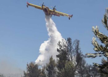 Κοζάνη: Πυρκαγιά σε δασική έκταση στο Φλάμπουρο Βελβεντού