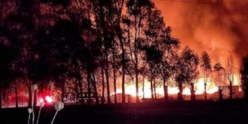 Αγωνιώδεις προσπάθειες για πέμπτη ημέρα να σβήσει η φωτιά στο όρος Φαλακρό