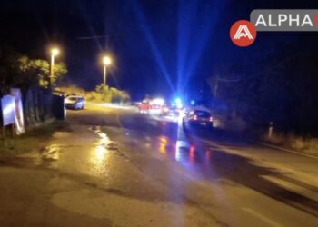 "Αλαλούμ" στην Καστοριά όταν για άλλη μια φορά αρκούδες θεάθησαν να "κόβουν" βόλτες στην είσοδο της πόλης - Ισχυρή κινητοποίηση της αστυνομίας