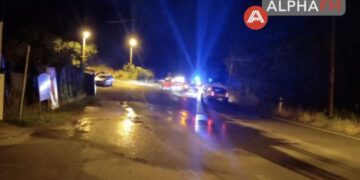 "Αλαλούμ" στην Καστοριά όταν για άλλη μια φορά αρκούδες θεάθησαν να "κόβουν" βόλτες στην είσοδο της πόλης - Ισχυρή κινητοποίηση της αστυνομίας