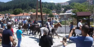 Αναβίωσε το έθιμο του Άγιου Παντελεήμονα στην Κοζάνη: Καβαλάρηδες κατέκλυσαν τους δρόμους με τα άλογά τους (video)