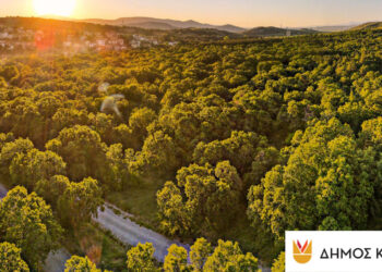 Απαγόρευση κυκλοφορίας στο Άλσος Κουρί Κοζάνης την Τετάρτη 17/7 – Πρόστιμο για τους παραβάτες