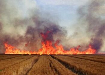 Απαγορεύεται η καύση αγροτικών εκτάσεων – υπολειμμάτων καλλιεργειών (καλαμιάς) – Θα επιβληθούν αυστηρές κυρώσεις