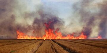 Απαγορεύεται η καύση αγροτικών εκτάσεων – υπολειμμάτων καλλιεργειών (καλαμιάς) – Θα επιβληθούν αυστηρές κυρώσεις