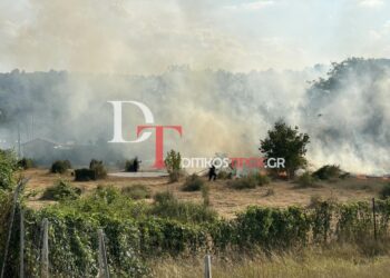 Άργος Ορεστικό: Ηλικιωμένος έβαλε φωτιά για να κάψει ξερά χόρτα και παραλίγο να γίνει παρανάλωμα η περιοχή