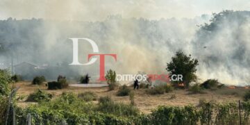 Άργος Ορεστικό: Ηλικιωμένος έβαλε φωτιά για να κάψει ξερά χόρτα και παραλίγο να γίνει παρανάλωμα η περιοχή