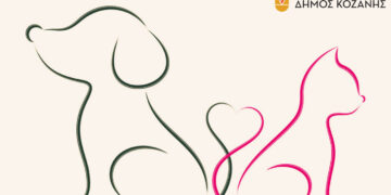 Δήμος Κοζάνης: Δωρεάν στειρώσεις ζώων στις 15-17/7