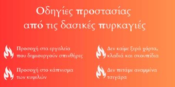 Δήμος Κοζάνης: Οδηγίες προστασίας από τις δασικές πυρκαγιές