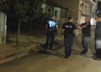 Δύο αρκούδες μέσα στο Άργος Ορεστικό - Αναστάτωση στους κατοίκους