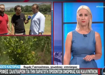 Καστοριά: Οι δίδυμοι εκτροφείς σαλιγκαριών για την παραγωγή προϊόντων ομορφιάς και καλλυντικών (βίντεο)