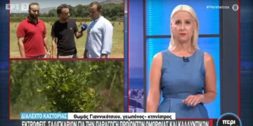 Καστοριά: Οι δίδυμοι εκτροφείς σαλιγκαριών για την παραγωγή προϊόντων ομορφιάς και καλλυντικών (βίντεο)