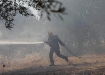 Φωτιά σε εξέλιξη σε δασική έκταση στην περιοχή Σκάφη Κοζάνης – Επέμβαση της Πυροσβεστικής