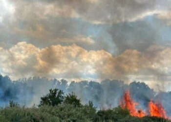 Καστοριά: Πυρκαγιά σε φωτοβολταϊκό πάρκο (VIDEO)