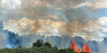 Καστοριά: Πυρκαγιά σε φωτοβολταϊκό πάρκο (VIDEO)