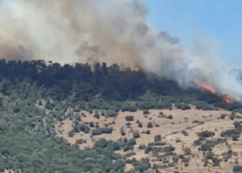 Φωτιά σε δασική έκταση στην περιοχή Μανταμάδος Λέσβου - Σηκώθηκαν και εναέρια μέσα