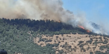 Φωτιά σε δασική έκταση στην περιοχή Μανταμάδος Λέσβου - Σηκώθηκαν και εναέρια μέσα