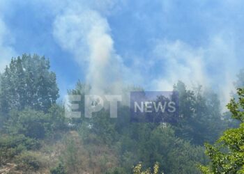 Φωτιά με ανησυχητικές διαστάσεις στην Καστοριά, λόγω των ισχυρών ανέμων που πνέουν στην περιοχή