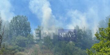 Φωτιά με ανησυχητικές διαστάσεις στην Καστοριά, λόγω των ισχυρών ανέμων που πνέουν στην περιοχή