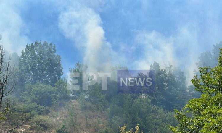 Φωτιά με ανησυχητικές διαστάσεις στην Καστοριά, λόγω των ισχυρών ανέμων που πνέουν στην περιοχή