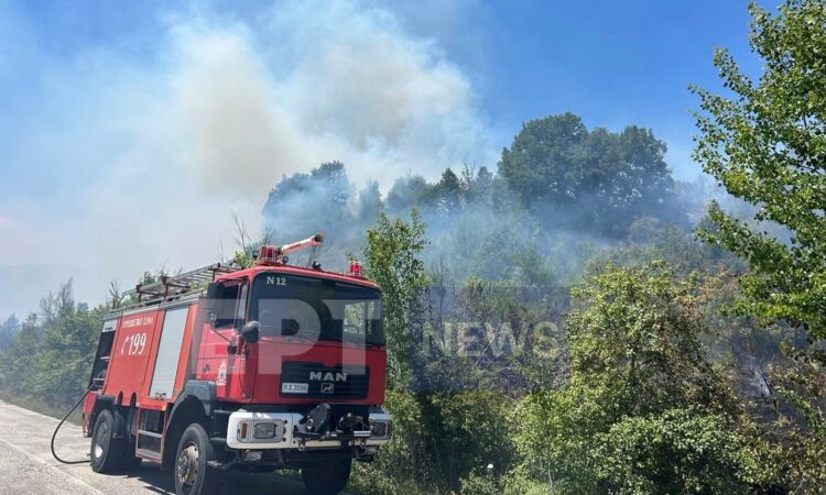 Φωτιά με ανησυχητικές διαστάσεις στην Καστοριά, λόγω των ισχυρών ανέμων που πνέουν στην περιοχή