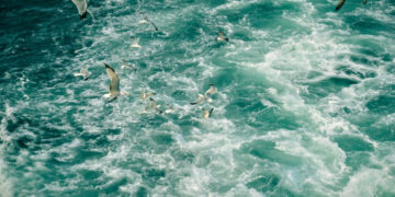 Η ακρίβεια τρώει τον παρά: Θάλασσα με το κυάλι θα δουν φέτος οι μισοί Έλληνες - Ερευνα