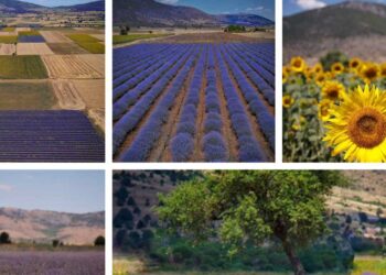 Ιούλιος 1: Η σημερινή καλημέρα...