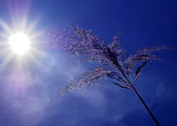 Τι καιρό θα κάνει τον Αύγουστο στη χώρα