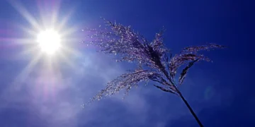 Τι καιρό θα κάνει τον Αύγουστο στη χώρα