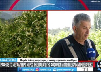 Καταστράφηκε το μεγαλύτερο μέρος της παραγωγής φασολιών στην Καστοριά (βίντεο)