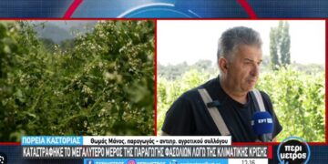 Καταστράφηκε το μεγαλύτερο μέρος της παραγωγής φασολιών στην Καστοριά (βίντεο)