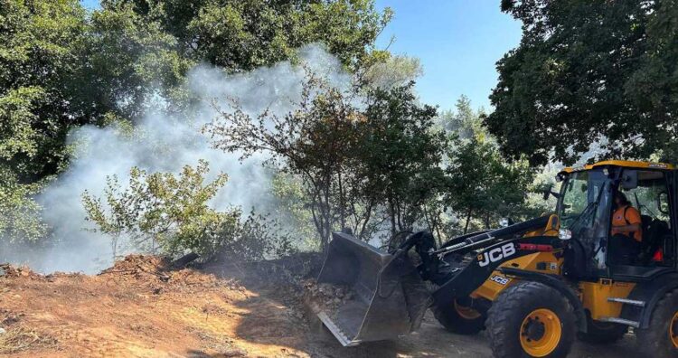 Κατασβήστηκε φωτιά στην Κοινότητα Σκοπιάς στη Φλώρινα - Έκκληση της Πολιτικής Προστασίας του Δήμου Φλώρινας 