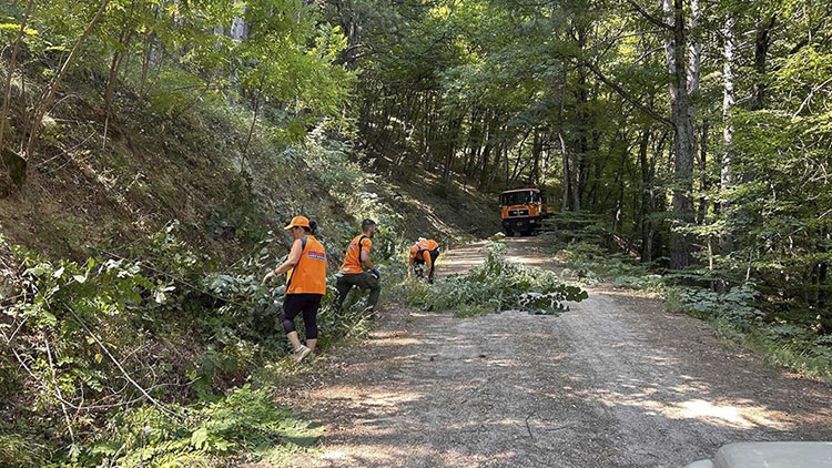 Καθαρισμός του λόφου Αγίου Παντελεήμονα από το Δήμο Φλώρινας (Φωτογραφίες)