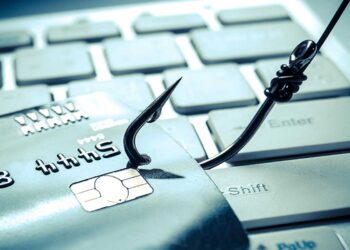 Κοζάνη: 24χρονος εξαπάτησε 60χρονη μέσω υπολογιστή απέσπασε 3.420 ευρώ – Σχηματίσθηκε ποινική δικογραφία εις βάρος του