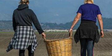 Κρόκος Κοζάνης: Το «χρυσάφι» της ελληνικής γης που προτιμούσε και η Κλεοπάτρα