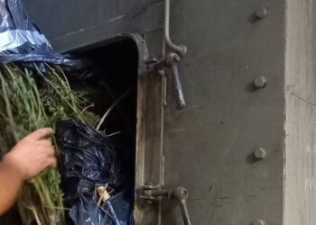 Μεγάλες ποσότητες ναρκωτικών καταστράφηκαν σήμερα σε υψικάμινο στο εργοστάσιο του ΑΗΣ Μελίτης Φλώρινας