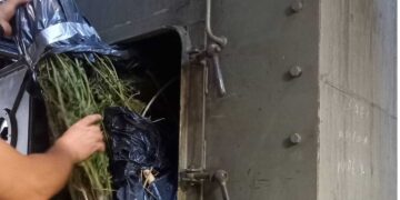 Μεγάλες ποσότητες ναρκωτικών καταστράφηκαν σήμερα σε υψικάμινο στο εργοστάσιο του ΑΗΣ Μελίτης Φλώρινας